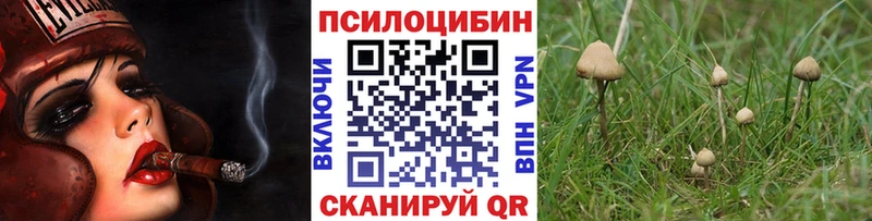 где купить наркоту Новоаннинский Псилоцибиновые грибы GOLDEN TEACHER