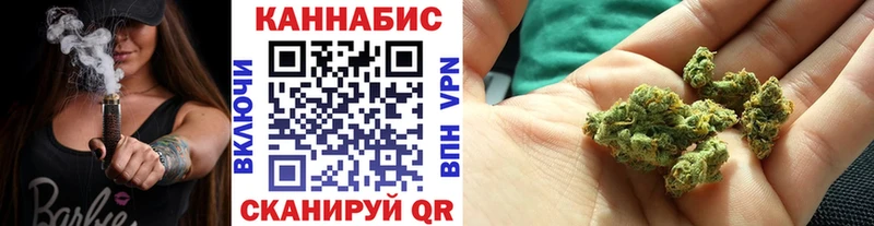 Бошки Шишки сатива  Новоаннинский 